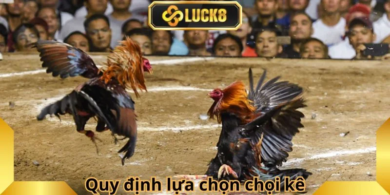 quy-dinh-lua-chon-choi-ke-chat-luong