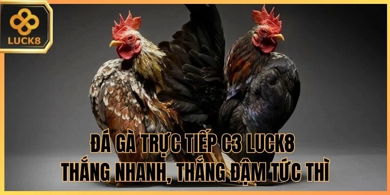 đá gà trực tiếp c3