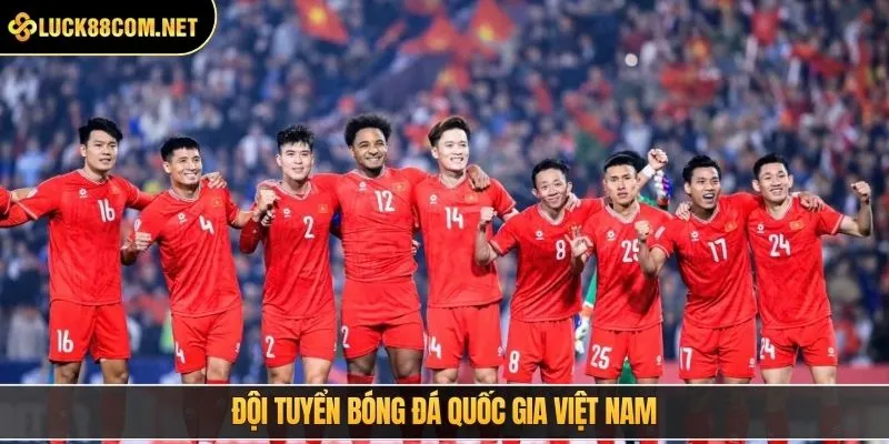 Đội tuyển bóng đá quốc gia Việt Nam
